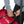 Load image into Gallery viewer, Epic Roll Gear Bag (Black Belt)