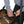 Load image into Gallery viewer, Epic Roll Gear Bag (Brown Belt)