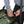 Load image into Gallery viewer, Epic Roll Gear Bag (Green Voltage)