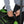 Load image into Gallery viewer, Epic Roll Gear Bag (Neon Green)