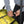 Load image into Gallery viewer, Epic Roll Gear Bag (Bumblbee)