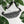Load image into Gallery viewer, Jits Stuff (Slate) Fanny Pack