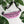 Load image into Gallery viewer, Jits Stuff (Pink) Fanny Pack