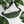 Load image into Gallery viewer, Jits Stuff (Army Green) Fanny Pack