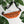 Load image into Gallery viewer, Jits Stuff (Construction Cone) Fanny Pack
