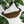 Load image into Gallery viewer, Jits Stuff (Brown) Fanny Pack