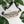 Load image into Gallery viewer, Jits Stuff (Nude Beach) Fanny Pack