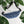 Load image into Gallery viewer, Jits Stuff (Overcast) Fanny Pack