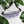 Load image into Gallery viewer, Jits Stuff (Lavender) Fanny Pack