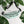 Load image into Gallery viewer, Jits Stuff (Mint) Fanny Pack