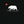 Load image into Gallery viewer, Cali Roots