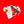 Load image into Gallery viewer, Cro-Mags (Age of Quarrel) Gi (White Edition)