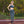 Load image into Gallery viewer, Suckerpunch (Blue Thorn)