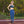 Load image into Gallery viewer, Women's Leggings (Royal Blue)