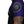 Load image into Gallery viewer, Ranked Short Sleeve Rash guards (Purple Belt)