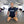 Load image into Gallery viewer, Obsessed Rash guard