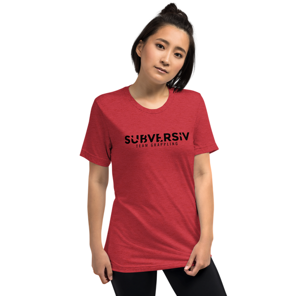 Subversiv - The Basics