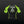 Load image into Gallery viewer, Philadelphia Phenoms Season 10 Full nogi Kit- Black &amp; Green
