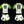 Load image into Gallery viewer, Philadelphia Phenoms Season 10 Full nogi Kit- White &amp; Green
